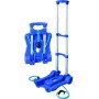 VIGOR CARRELLO PORTATUTTO MOD. ERCOLE IN PLASTICA 