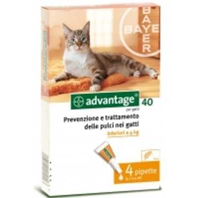 ADVANTAGE 40 FOR CATS AND RABBITS 4 LOWER PIPETTES KG. 4