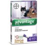 ADVANTAGE 80 FOR BIG CATS AND RABBITS 4 PIPPETTE OTRE KG. 4