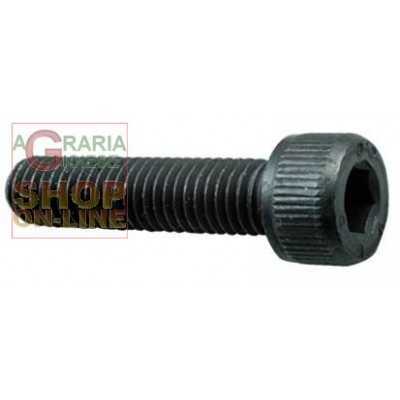 SOCKET SCREW 8.8 TC HEX SOCKET MM. 4 X 25
