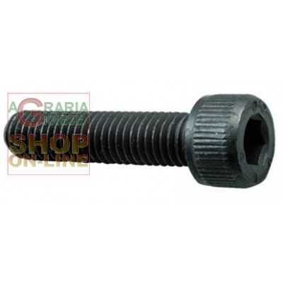 SOCKET SCREW 8.8 TC HEX SOCKET MM. 5X 25