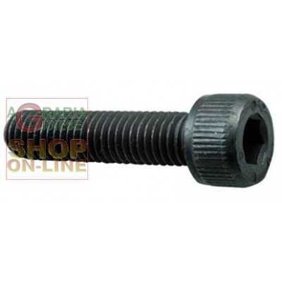VITE A BRUGOLA 8.8 TC ESAGONO INCASSATO MM. 5X 50 