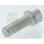 SCREW FOR JET-SKY GZ325 SDRAMATOR