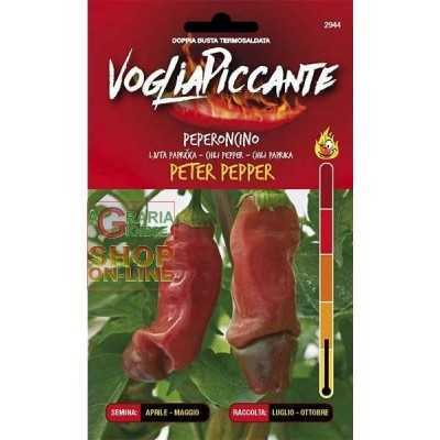 HEAVY SPICY SEEDS OF SPICY CHILI PEPPER PETER PEPPER