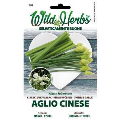 WILD HERBS CHINESE GARLIC SEEDS