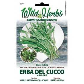 WILD HERBS SEEDS OF CUCCO OR SCLOPIT