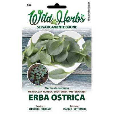 WILD HERBS OYSTER SEEDS