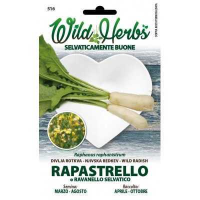 WILD HERBS SEEDS OF RAPE OR WILD RADISH