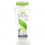 WINNI'S NATUREL THE' VERDE SHAMPOO 250 ML