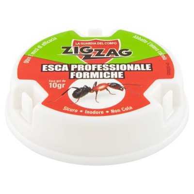 ZIG ZAG INSECTICIDE TRAP BAIT IN ANTS GEL 10 GRAMS