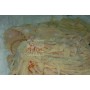 CULARI DI MAIALI 1 MZ. PER KG. 12 