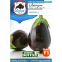 BISON AUBERGINE SEEDS BONICA HYBRID F1