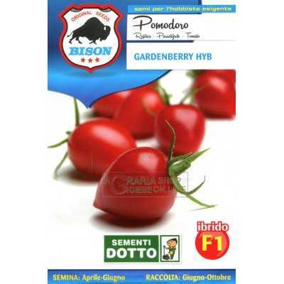 BISON TOMATO SEEDS GARDENBERRY HYBRID F1