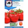 BISON TOMATO SEEDS MONTECARLO HYBRID F1