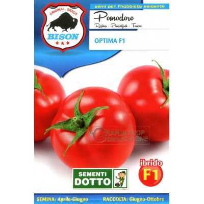 BISON TOMATO SEEDS OPTIMA HYBRID F1
