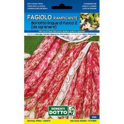 SEMI DI FAGIOLO RAMPICANTE BORLOTTO LINGUA DI FUOCO 2 GR. 250