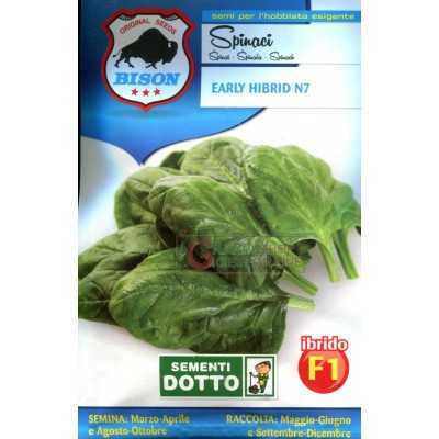 BISON SEEDS OF SPINACH EARLY HIBRID N7 F1