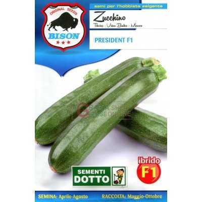 BISON SEEDS OF ZUCCHINO PRESIDENT HYBRID F1