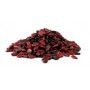TOPICIDA VELENO PER TOPI GIRASOLE ROGAR X FORTE KG. 10 
