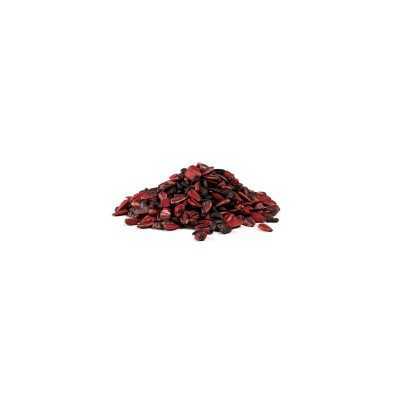 TOPICIDA VELENO PER TOPI GIRASOLE ROGAR X FORTE KG. 10 