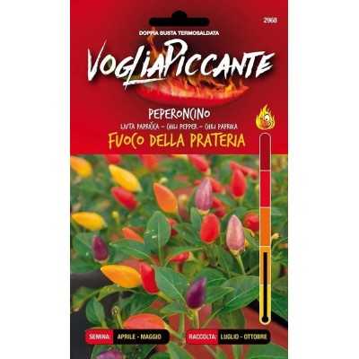 VOGLIA PICCANTE SEMI DI PEPERONCINO PICCANTE FUOCO DELLA