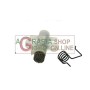 OIL PUMP FOR ELECTRIC SAW SANDRI GARDEN ES 2000 COD. 2065920
