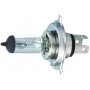 BLINKY CAR BULB MODEL H4 12V WATT 60/55