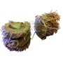 BLINKY ECOLOGICAL FIRE LIGHTER ECO2 CORE-WOOD PIECES 12