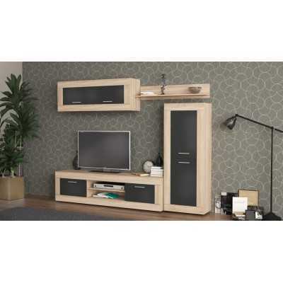 KIT PARETE LIVING AMBER ROVERE 250x188x41