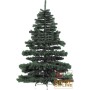 CHRISTMAS TREE NORWEGIAN PINE CM.180-1200