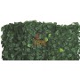 ARELLE SIEPE SEMPREVERDE LAURO DOUBLE SHIELD MT. 1X3