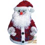 SANTA CLAUS IN SMALL LIGHT WIRE CM.40