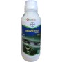 BAYER MOVENTO 48 SC INSECTICIDE BASED SPIROTETRAMAT lt. 1