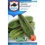 BISON SEEDS OF ZUCCHINO GREYZINI HYBRID F1