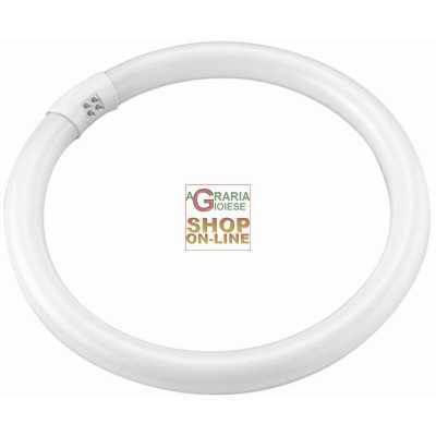 BLINKY NEON CIRCULAR T9 WHITE 40W-3000LM