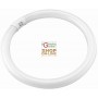 BLINKY NEON CIRCOLARE T9 BIANCA 40W-3000LM 