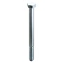 BOLT STEEL 1/2 THREADED T.E. UNI-5737 14x80