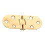 COOKIE HINGE WITH BRASS LOCK PCS. 2