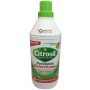 CITROSIL DISINFECTANT FOR FLOORS AGAINST GERMS AND BACTERIA ML.