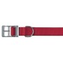 COLLAR FOR DOGS CLUB PERFORATED 25 37-45 ASS. THE