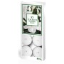 ALADINO LUMELLE TEALIGHT 4H JASMINE FRAGRANCE PCS. 10