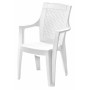 DIMIPLAST ARMCHAIR IN WHITE RHATTAN MADDALENA RESIN