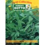 DOTTO BUSTE SEMI DI SALVIA OFFICINALE