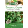 DUCT BAGS SEEDS OF STEVIA