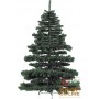 CHRISTMAS TREE NORWEGIAN PINE 220-1500 CM