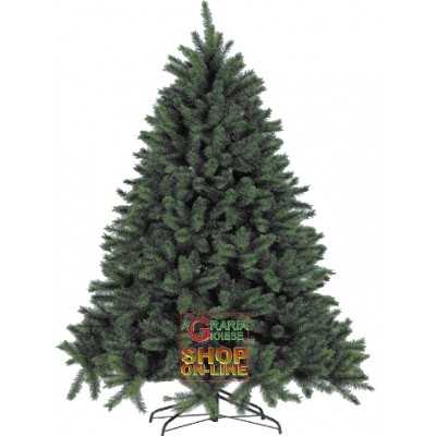 SIBERIAN PINE CHRISTMAS TREE