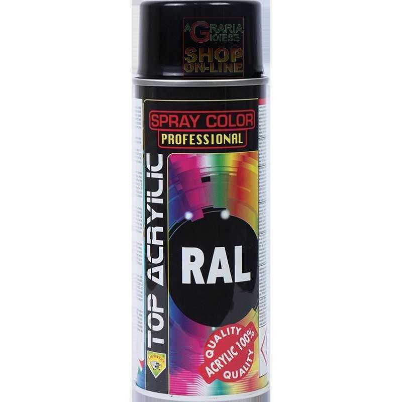 Vernice Spray Smalto Acrilico Extra colore NERO LUCIDO Uso Professionale Bomboletta da 400 ml con Valvola