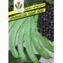 BEAN GR. 500 RAMP. SUPER MARCONI S.NERO ROYAL SEED