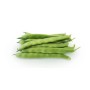 FITO SEEDS OF FAGIOLO NANO ORRIOLA GR. 250