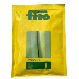 FITO ZUCCHINI SEEDS F1 PASCAL 1000 SEEDS